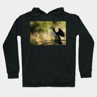 Little Pied Cormorant Hoodie